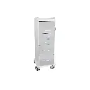 TL 6D Carts(3).webp
